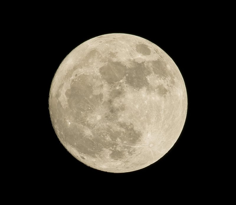 Moonlit Night